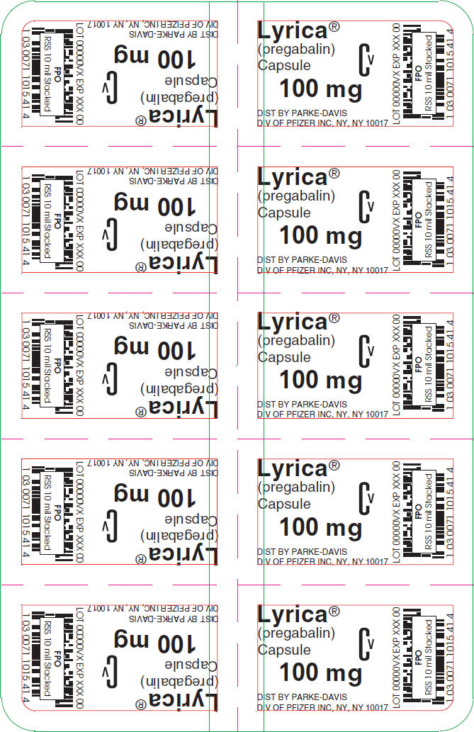 PRINCIPAL DISPLAY PANEL - 100 mg Capsule Blister Pack