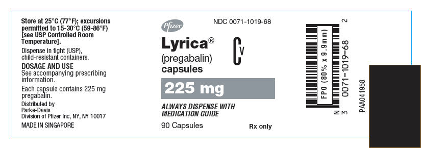 PRINCIPAL DISPLAY PANEL - 225 mg Capsule Bottle Label