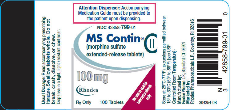 PRINCIPAL DISPLAY PANEL - 100 mg Tablet Bottle Label